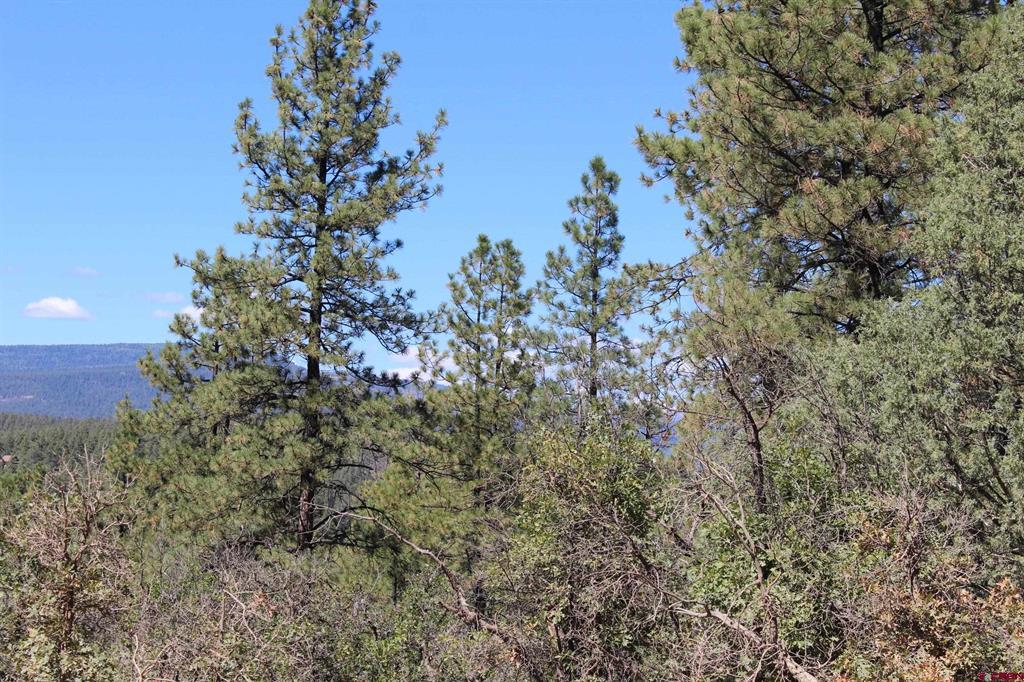 1260 Crooked Road Pagosa Springs CO 81147