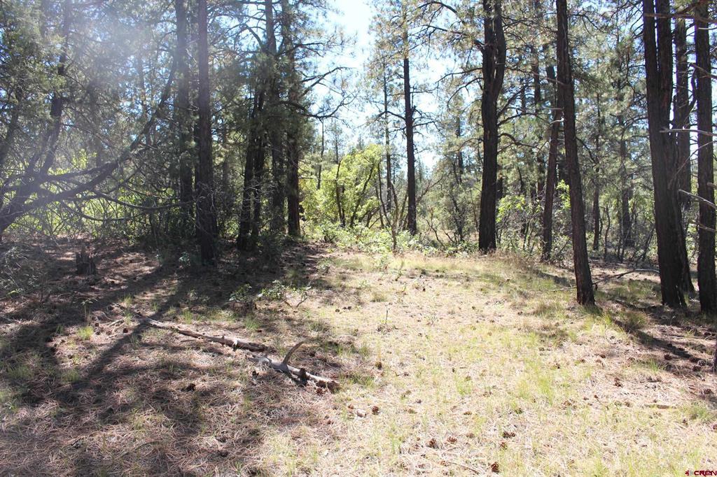 1260 Crooked Road Pagosa Springs CO 81147