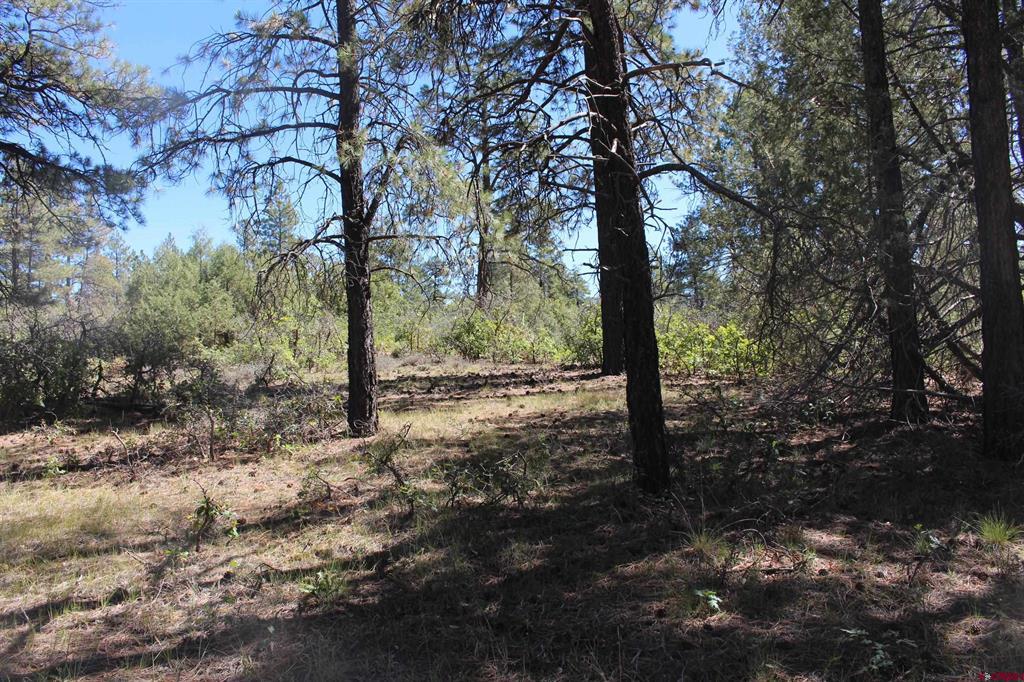 1260 Crooked Road Pagosa Springs CO 81147