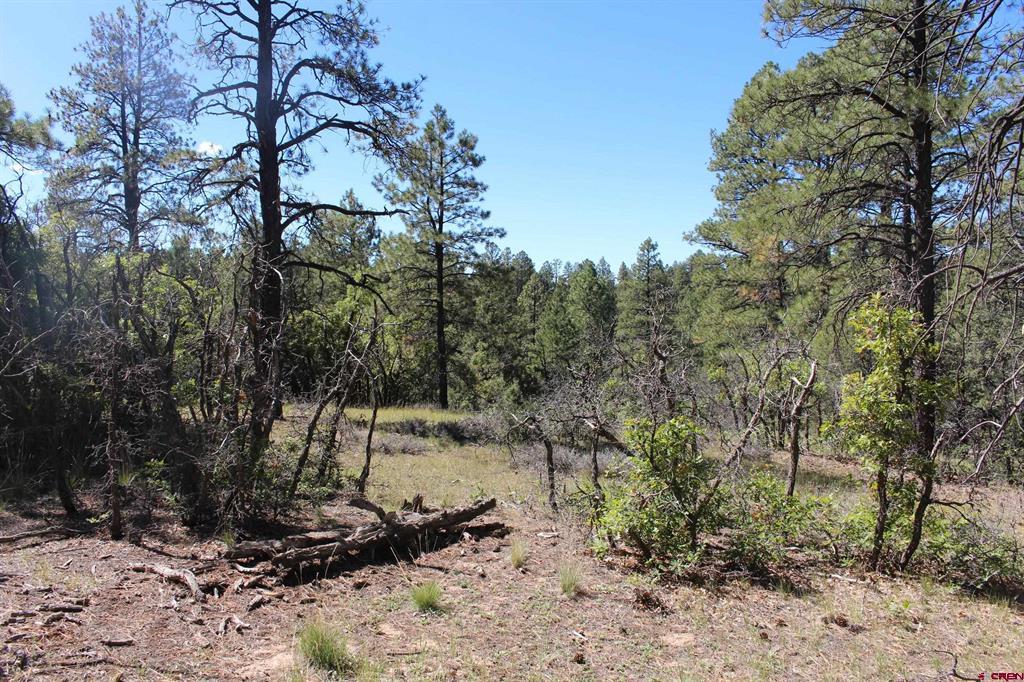 1260 Crooked Road Pagosa Springs CO 81147