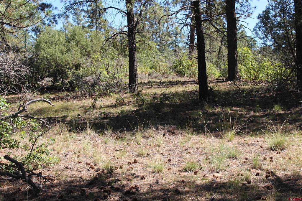 1260 Crooked Road Pagosa Springs CO 81147