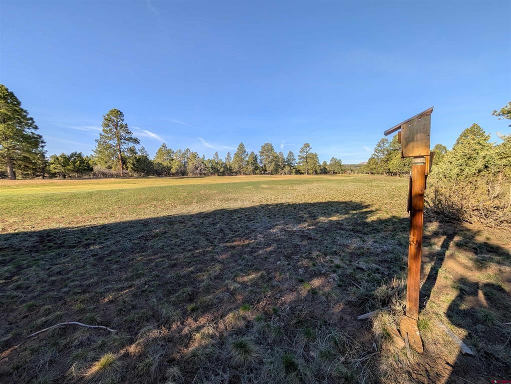 1635 Marmot Drive Ridgway CO 81432