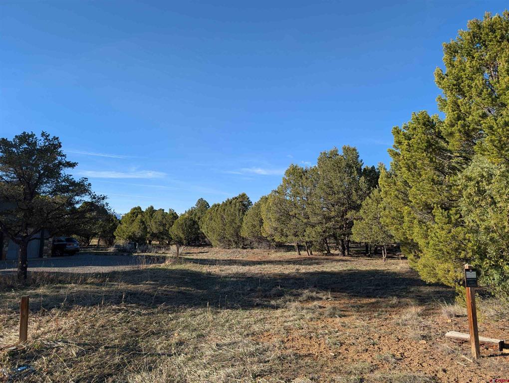 1635 Marmot Drive Ridgway CO 81432