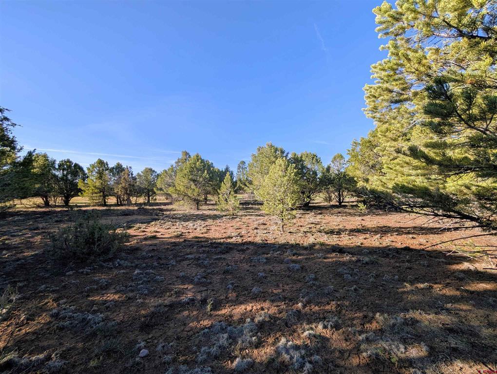 1635 Marmot Drive Ridgway CO 81432