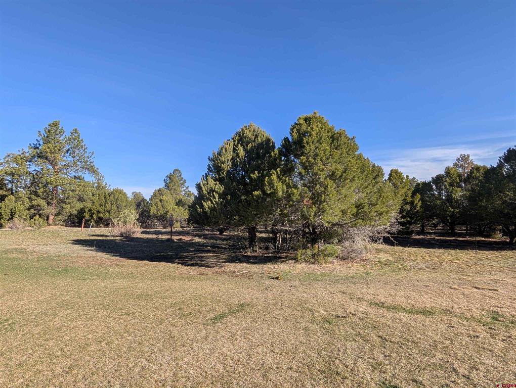 1635 Marmot Drive Ridgway CO 81432