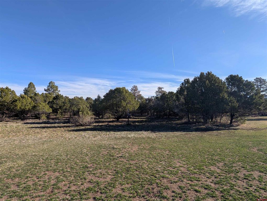 1635 Marmot Drive Ridgway CO 81432