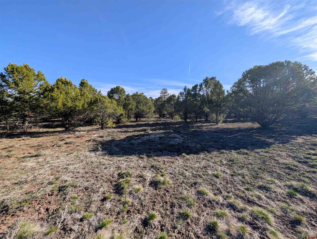1635 Marmot Drive Ridgway CO 81432