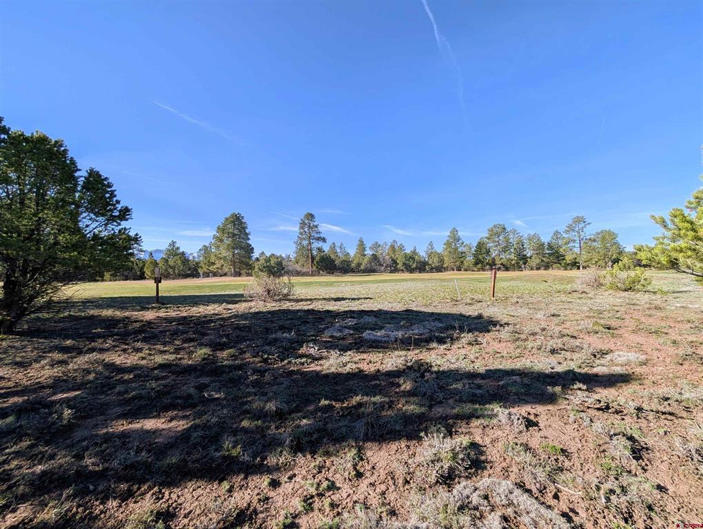 1635 Marmot Drive Ridgway CO 81432