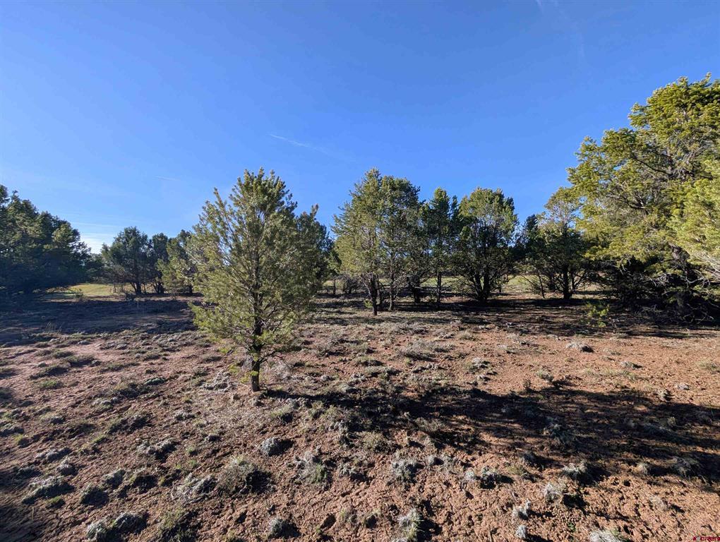 1635 Marmot Drive Ridgway CO 81432