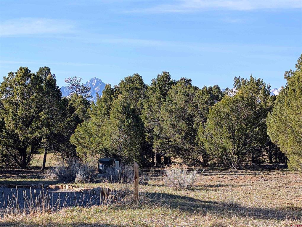 1635 Marmot Drive Ridgway CO 81432