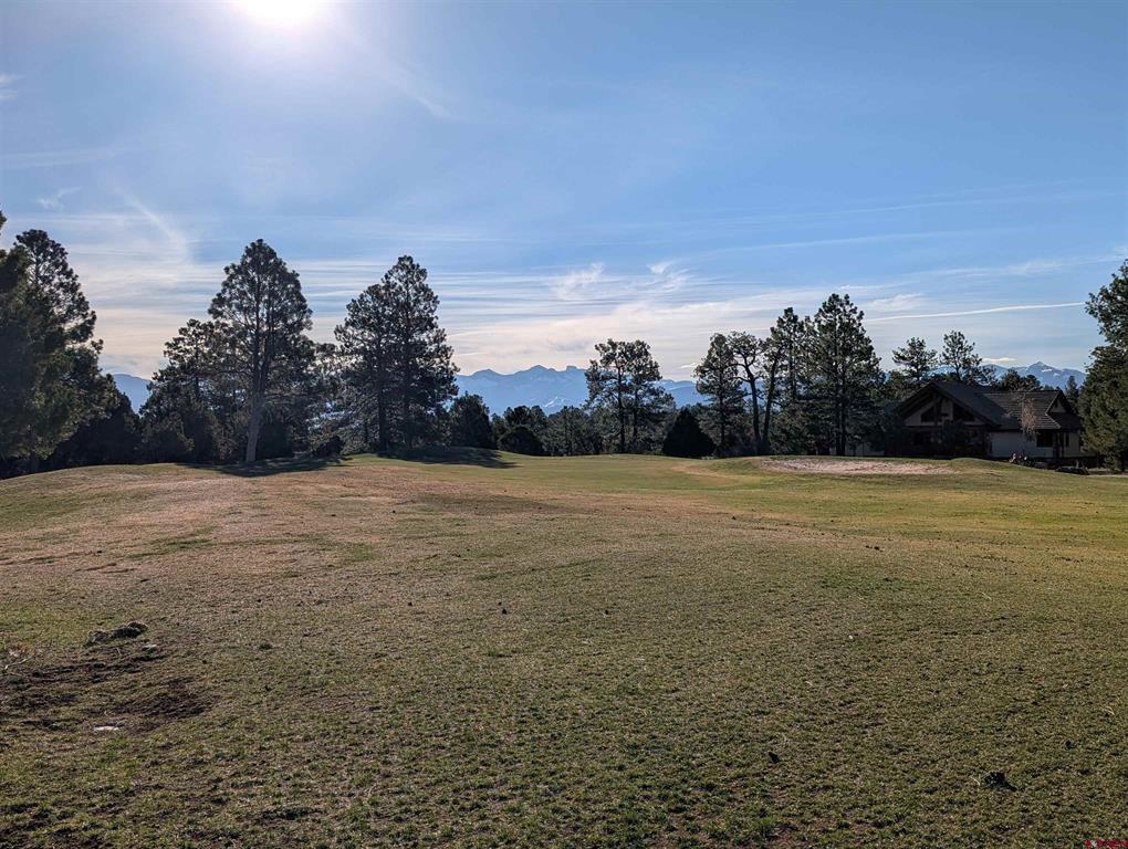 1635 Marmot Drive Ridgway CO 81432