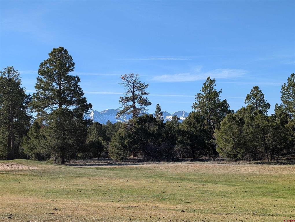 1635 Marmot Drive Ridgway CO 81432