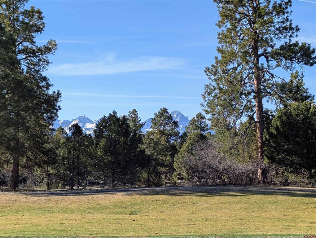 1635 Marmot Drive Ridgway CO 81432