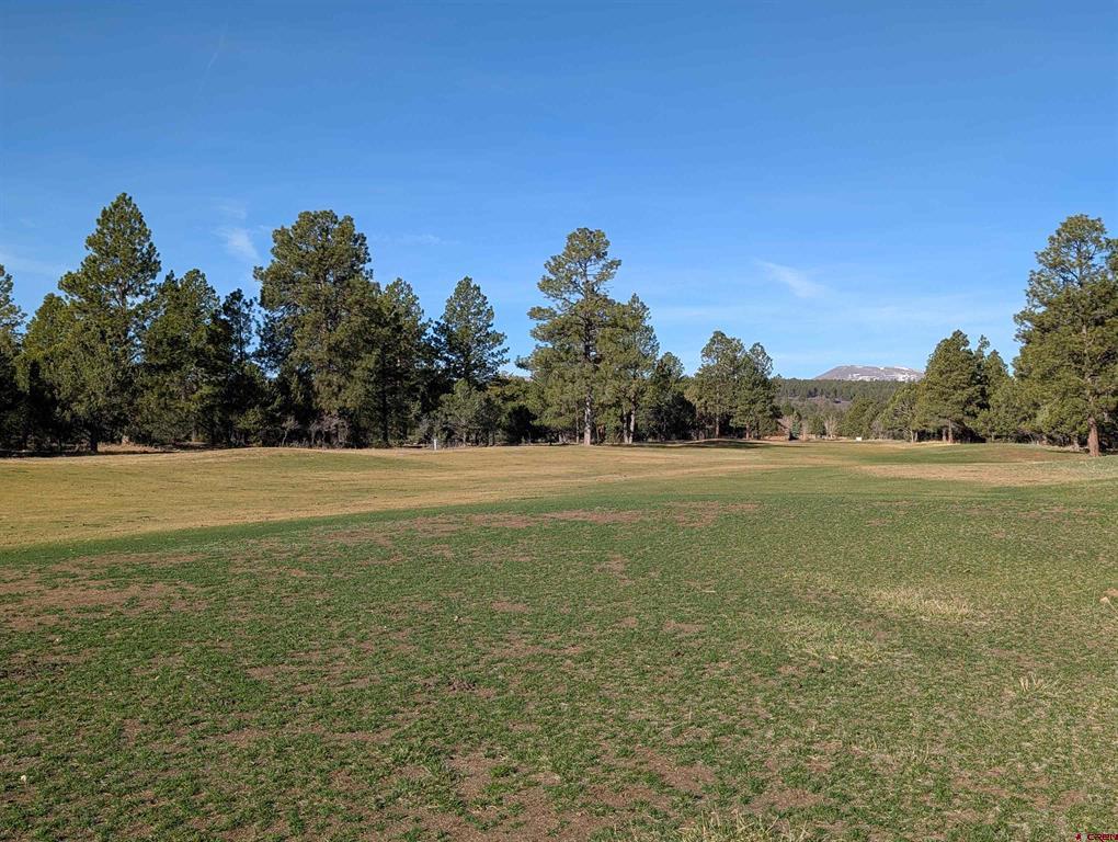 1635 Marmot Drive Ridgway CO 81432
