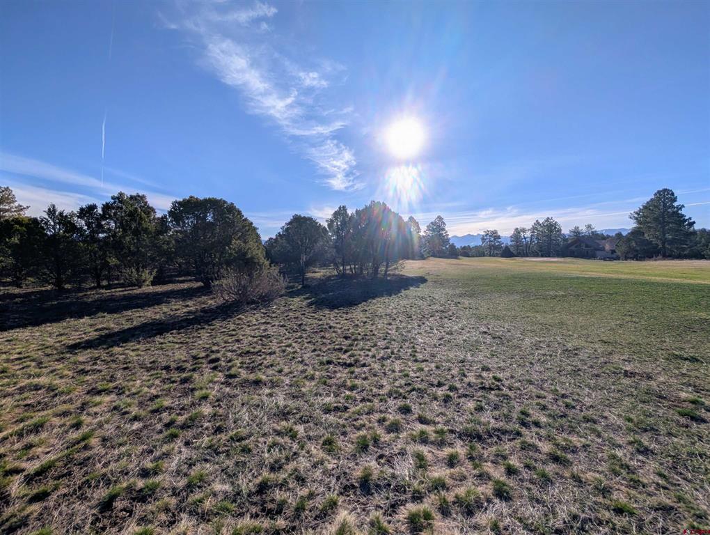 1635 Marmot Drive Ridgway CO 81432