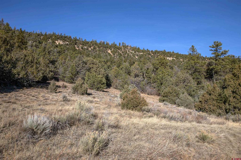 Tbd Tract 7 Old Relay Road Ridgway CO 81432