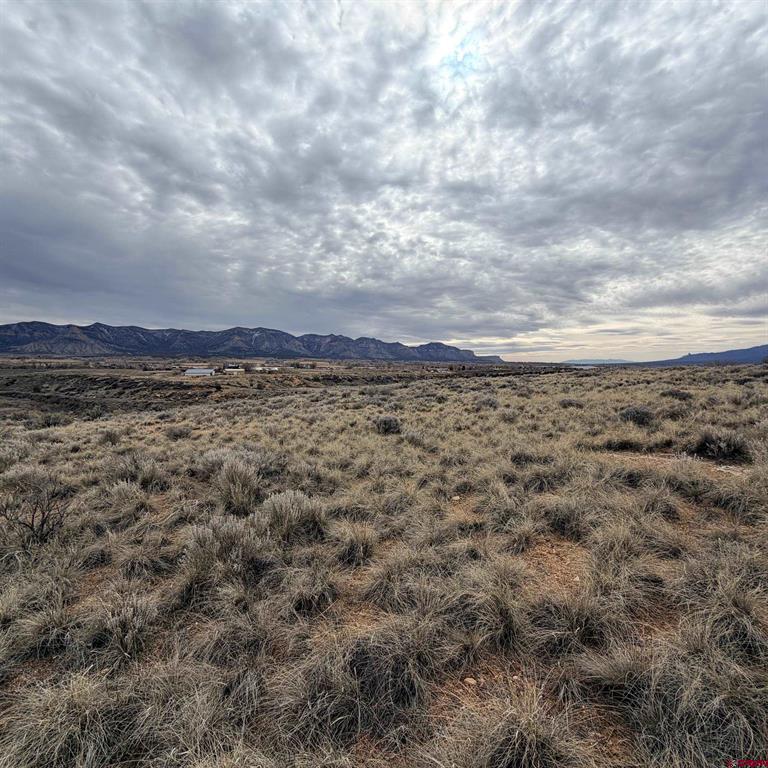 Lot 161 Jennings Drive Cortez CO 81321