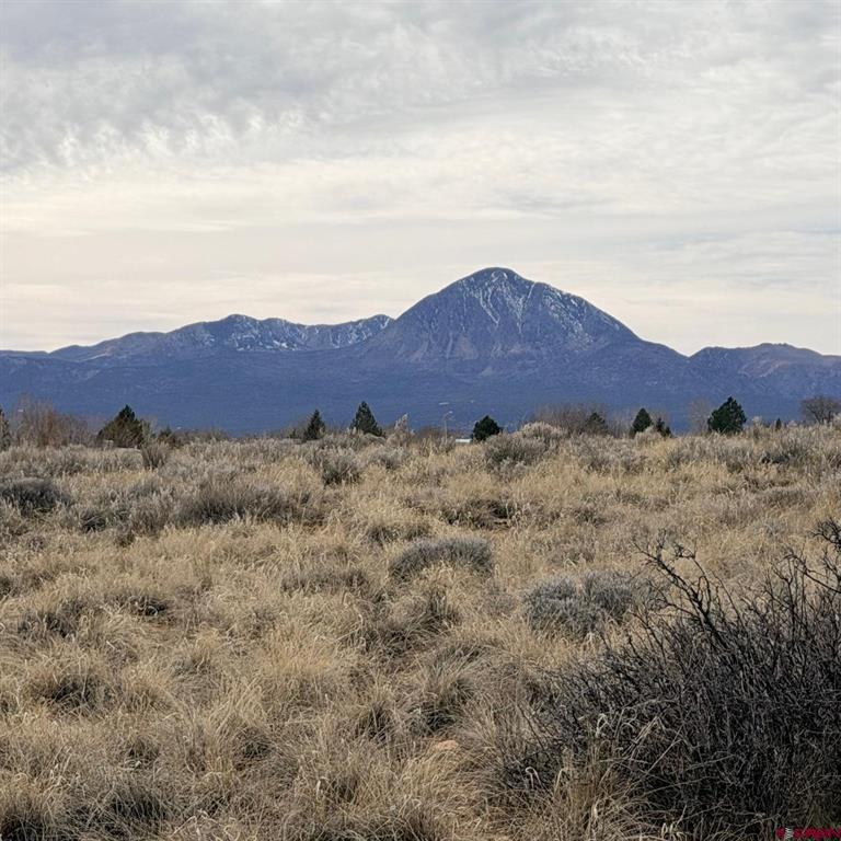 Lot 161 Jennings Drive Cortez CO 81321