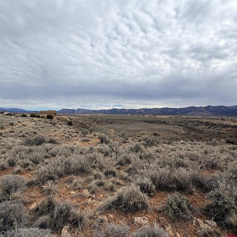 Lot 161 Jennings Drive Cortez CO 81321