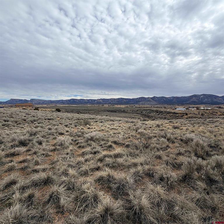 Lot 161 Jennings Drive Cortez CO 81321
