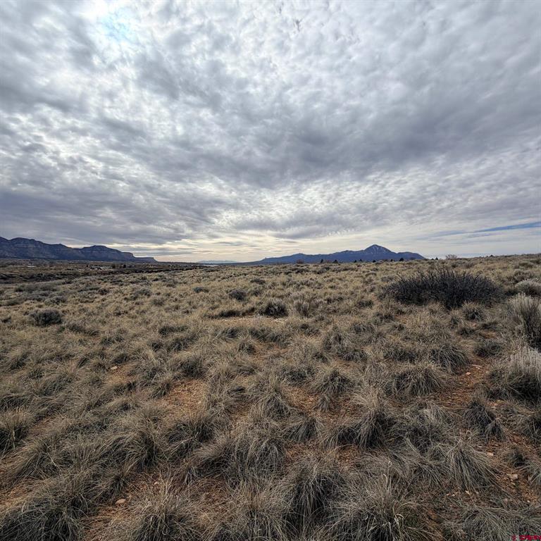 Lot 161 Jennings Drive Cortez CO 81321