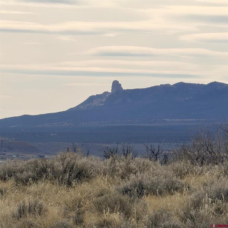 Lot 161 Jennings Drive Cortez CO 81321