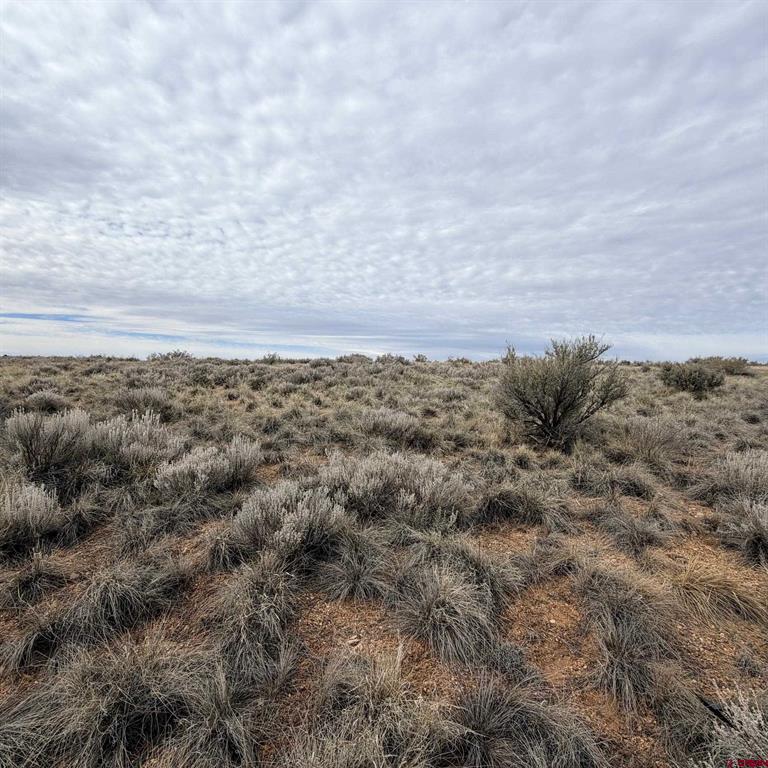 Lot 161 Jennings Drive Cortez CO 81321