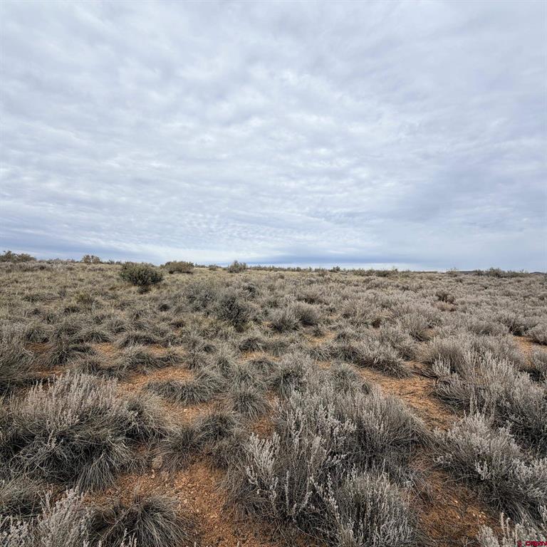 Lot 161 Jennings Drive Cortez CO 81321