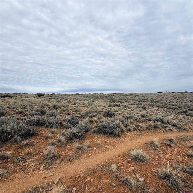 Lot 161 Jennings Drive Cortez CO 81321