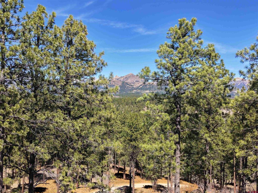 Lot 11 Hidden Valley Drive Pagosa Springs CO 81147