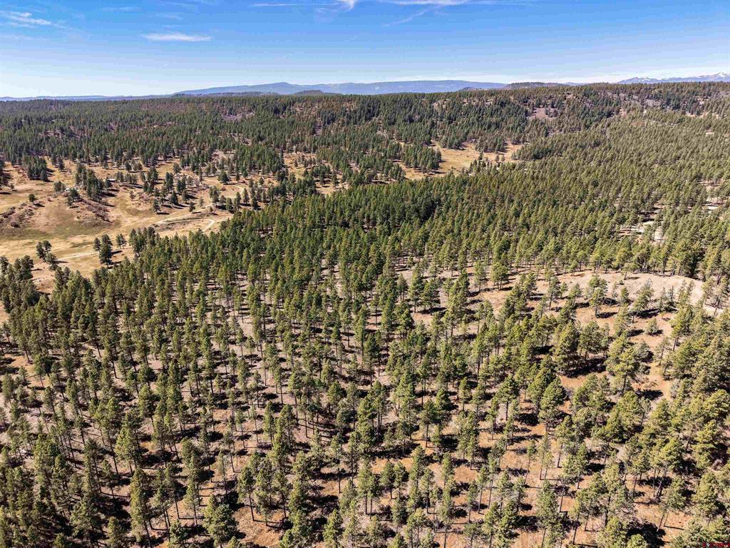 Lot 11 Hidden Valley Drive Pagosa Springs CO 81147