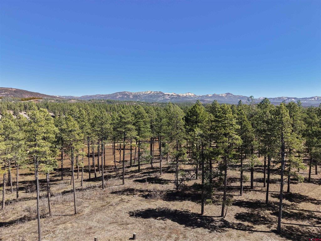 Lot 11 Hidden Valley Drive Pagosa Springs CO 81147