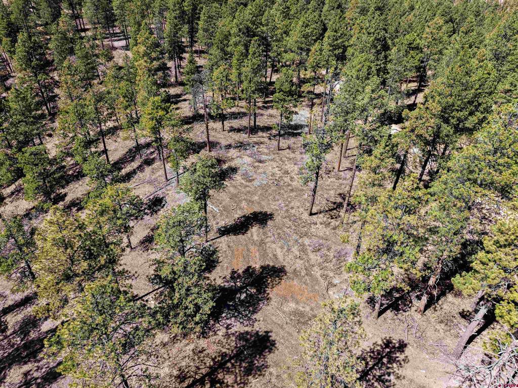 Lot 11 Hidden Valley Drive Pagosa Springs CO 81147