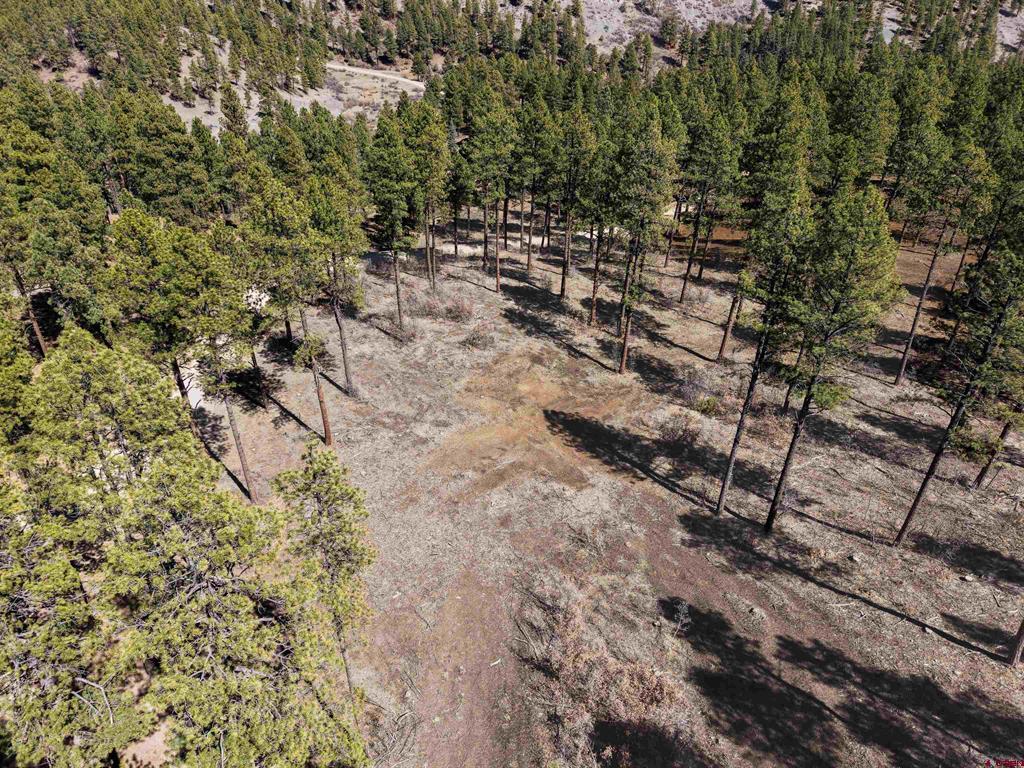 Lot 11 Hidden Valley Drive Pagosa Springs CO 81147