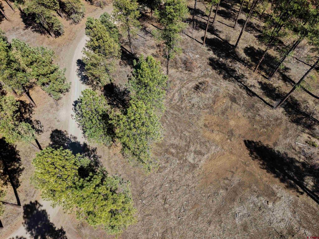 Lot 11 Hidden Valley Drive Pagosa Springs CO 81147
