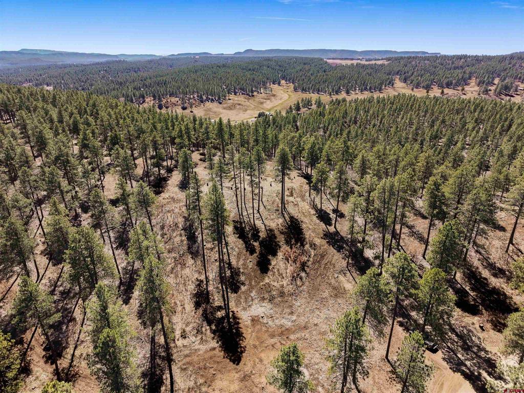 Lot 11 Hidden Valley Drive Pagosa Springs CO 81147