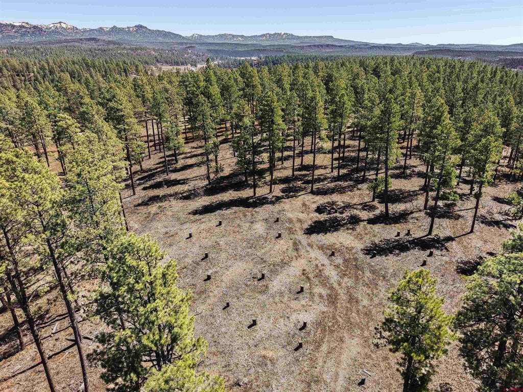 Lot 11 Hidden Valley Drive Pagosa Springs CO 81147