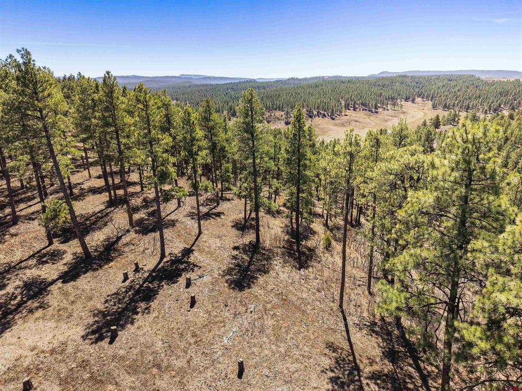 Lot 11 Hidden Valley Drive Pagosa Springs CO 81147