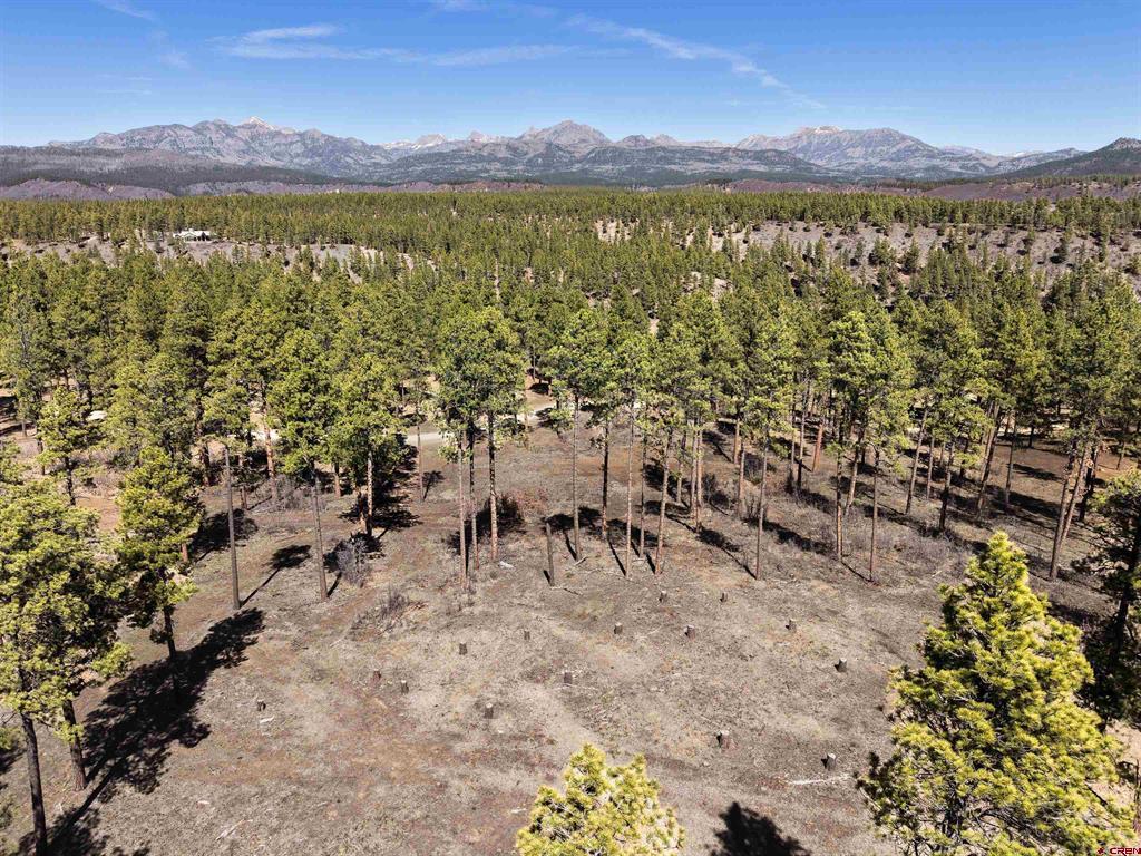 Lot 11 Hidden Valley Drive Pagosa Springs CO 81147