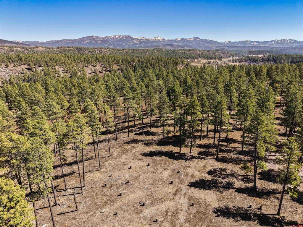 Lot 11 Hidden Valley Drive Pagosa Springs CO 81147