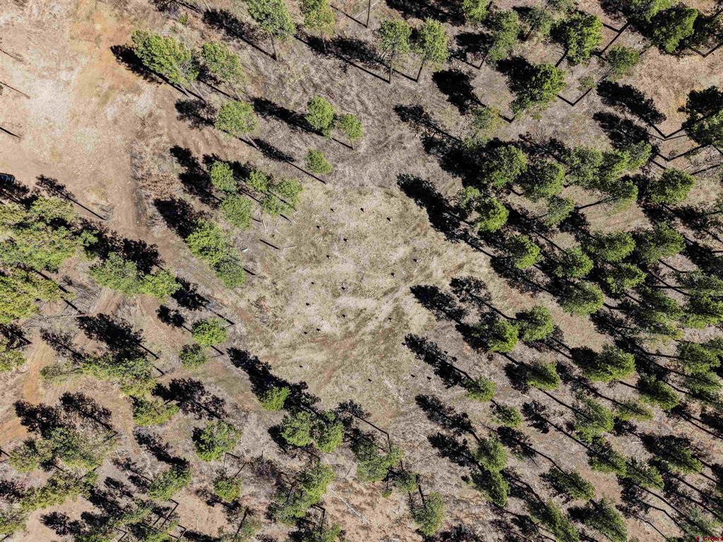 Lot 11 Hidden Valley Drive Pagosa Springs CO 81147