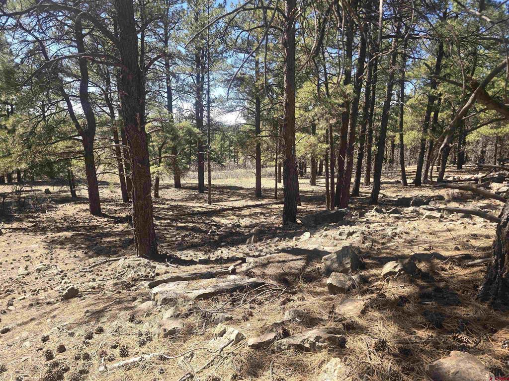96 Woodridge Circle Pagosa Springs CO 81147