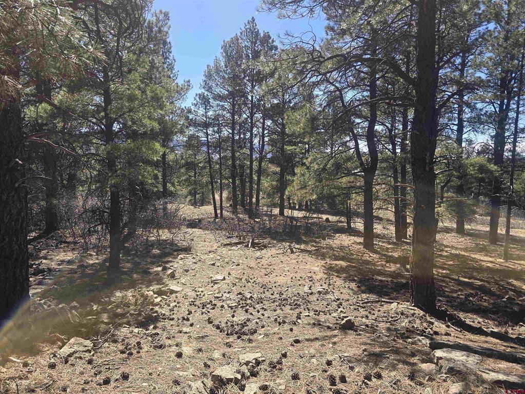 96 Woodridge Circle Pagosa Springs CO 81147