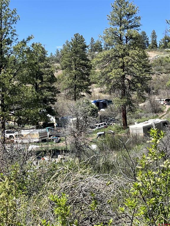 367 Echo Lane Pagosa Springs CO 81147