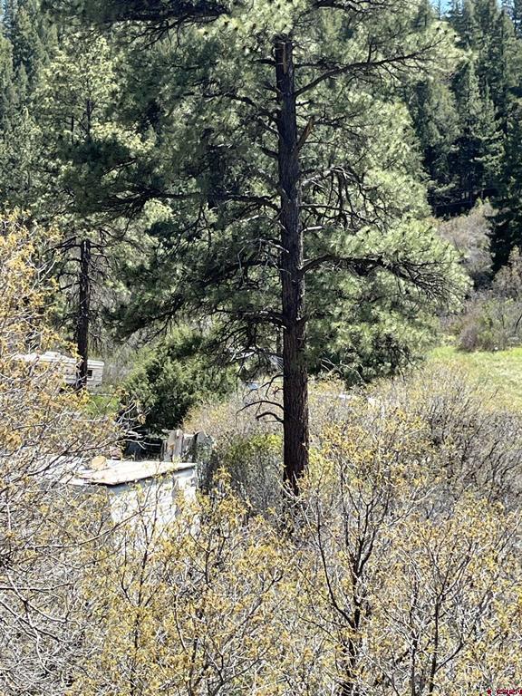 367 Echo Lane Pagosa Springs CO 81147