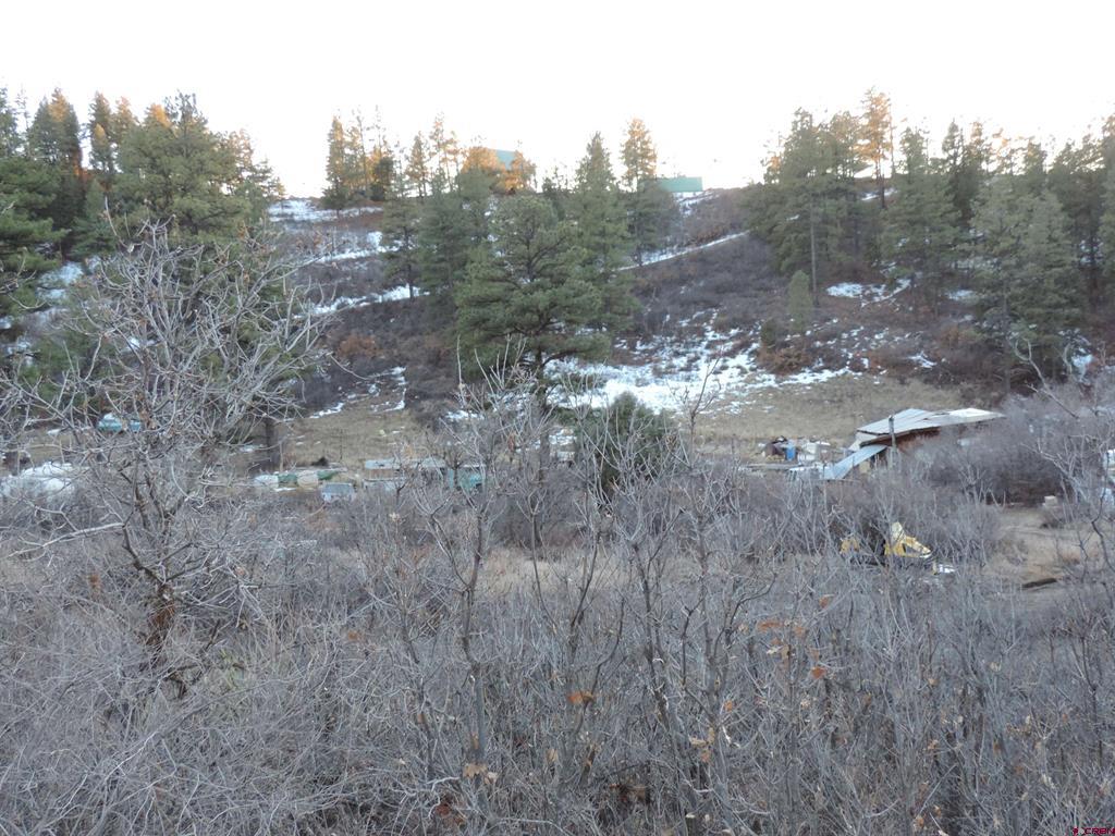 367 Echo Lane Pagosa Springs CO 81147