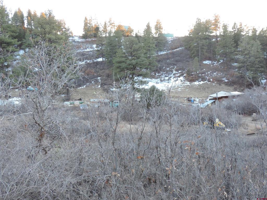 367 Echo Lane Pagosa Springs CO 81147