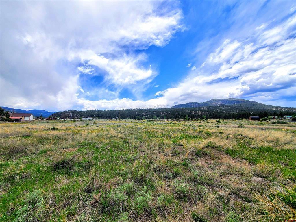 64 Vista Street South Fork CO 81154