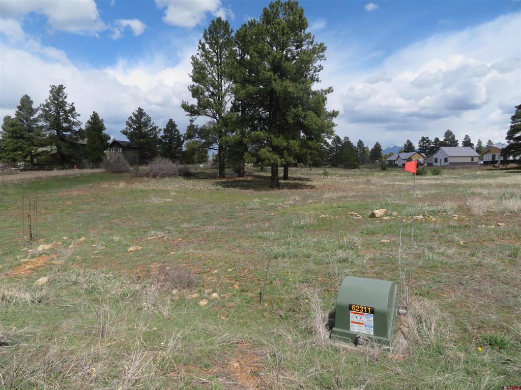 317 Domicile Circle Pagosa Springs CO 81147