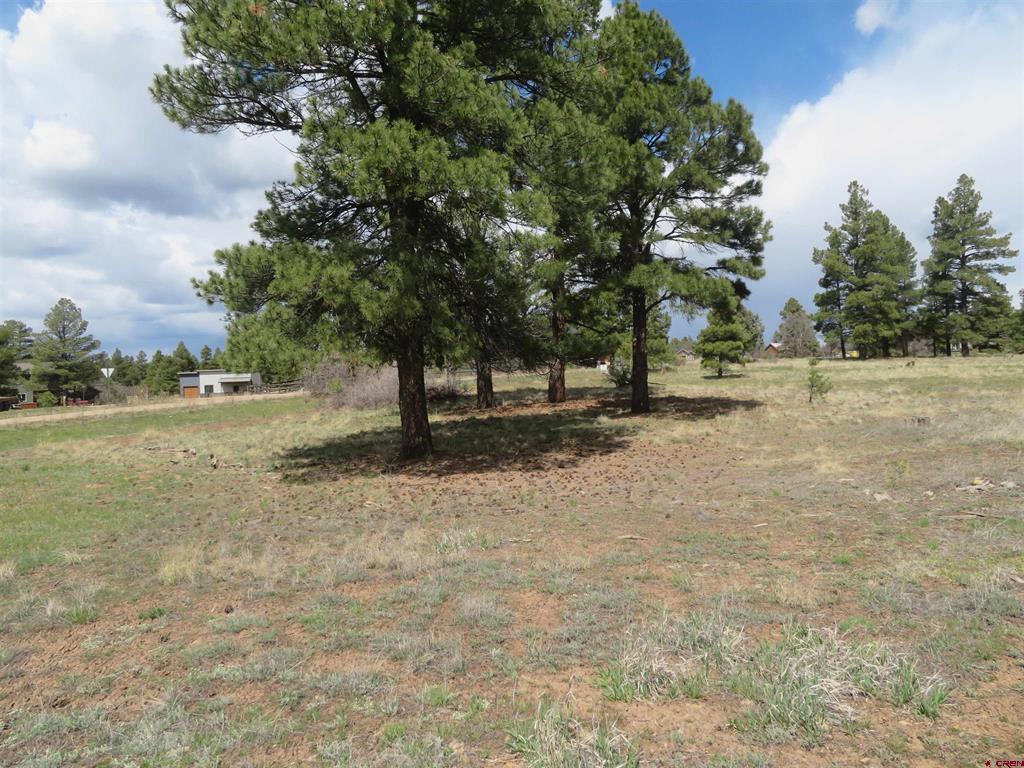 317 Domicile Circle Pagosa Springs CO 81147